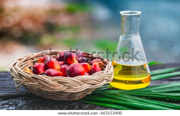 Palm fruit basket in a basket of vegetable oil on\
old wooden floor.