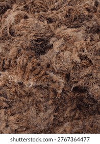palm fruit dregs after the process of grinding and boiling palm fruit to produce oil