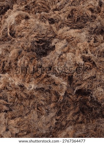 palm fruit dregs after the process of grinding and boiling palm fruit to produce oil