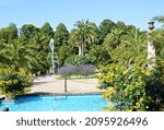 Palm Garden in the Resort Bad Pyrmont, Lower Saxony