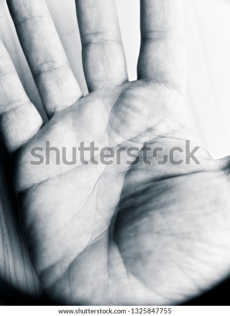 palm hand\
macro
