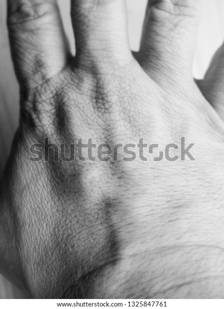 palm hand\
macro