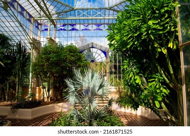 Palm House In Adelaide Botanic Gardens - Australia