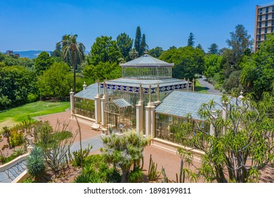 Palm House At Botanic Garden In Adelaide, Australia