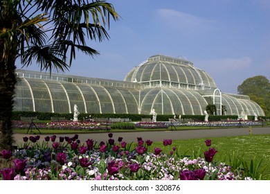 Palm House Kew Gardens London Uk