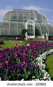 Palm House Kew Gardens London Uk