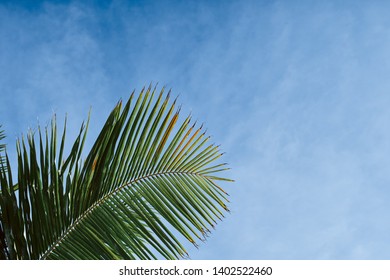 244 Tropica sunset Images, Stock Photos & Vectors | Shutterstock