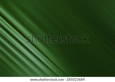 Palm leaf blur background