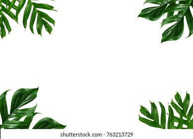 17,559,214 Green Leaf Background Stock Photos, Images & Photography ...