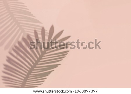 Palm leaf shadow against soft pastel pink champagne color background, copy space. 
