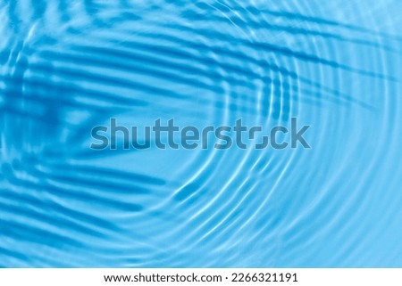 Palm leaf shadow, drop on blue water background. Top view, flat lay.