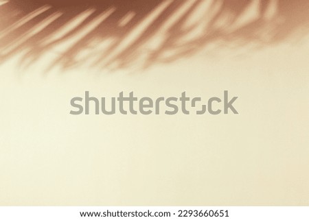 Palm leaf shadow on a beige wall. Minimal summer exotic concept with copy space