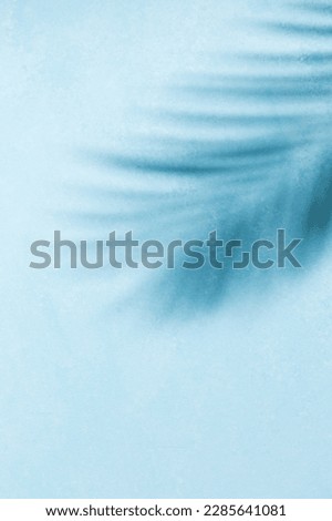 Palm leaf shadow on a blue wall background. Stylish flat lay with trendy shadow and sun light. Minimal summer holiday and vacation concept. Design banner, copy space.