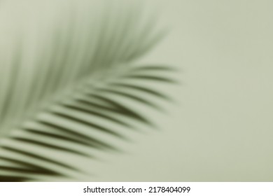 Palm leaf shadow on a green wall background. Olive color stylish flat lay with trendy shadow and sun light