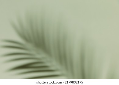 Palm leaf shadow on a green wall background. Olive color stylish flat lay with trendy shadow and sun light - Shutterstock ID 2179832175