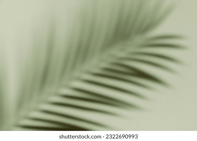 Palm leaf shadow on a green wall background. Olive color stylish flat lay with trendy shadow and sun light Stockfotó