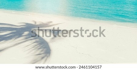 Palm leaf shadow on smooth sand. Beach banner background.