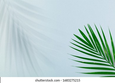 Palm leaf and palm leaf shadow on turquoise blue background. Concept of beach holiday, sea tour, warm sunny summer - Shutterstock ID 1683275215