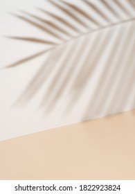 Schatten aus Palmblättern auf weißer Wand und cremefarbenem Fußboden. Abstrakter Hintergrund von Schatten Palmenblatt für kreativen Sommer minimalistisch mock up. Neutrale tropische Palme auf hellem Hintergrund.Geometrischer Hintergrund