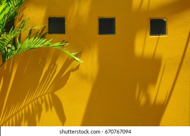 Palm Leaf Shadow On Yellow Wall