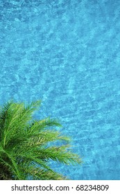 4,933 Pool palm springs Images, Stock Photos & Vectors | Shutterstock