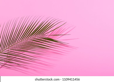 Palm Leave On Pastel Pink Background. Minimal Concept. Flat Lay.