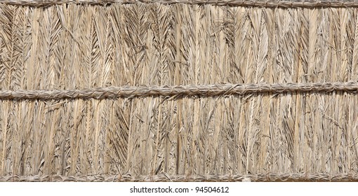 Thatch Palm Images Stock Photos Vectors Shutterstock