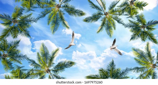 palm leaves and flying seagulls in cloudy sky