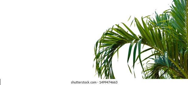 Website Header Banner Hd Stock Images Shutterstock Website Header Banner Hd Stock Images Shutterstock