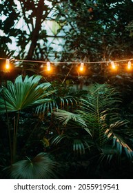 Palm Leaves In The Light Of Yellow Bulbs. Botanical Garden. Abstract Background