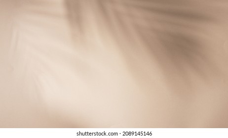 Palm leaves shadow on beige background, freeze motion - Shutterstock ID 2089145146