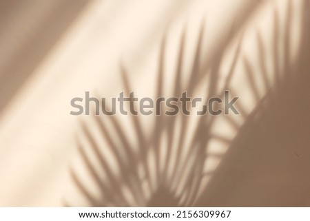 Palm leaves shadow on pastel beige wall background . Summer tropical beach background. Top view, flat lay, copy space, wallpaper