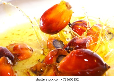 Palm oil background Palm oil is an edible vegetable oil derived from the reddish pulp of the fruit of the oil palms 