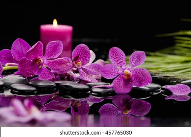 Palm with orchid ,candle on wet background