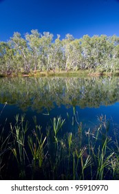 Palm Pool At  Millstream Chichester National Park