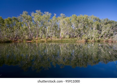 Palm Pool At  Millstream Chichester National Park