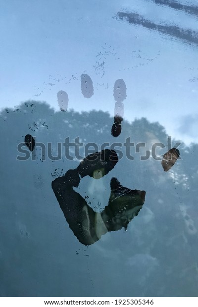 Palm\
print on the fogged glass of a car. The forest and the sky are\
reflected on the wet glass. Abstract\
background