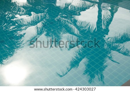 Palm Reflex In A Pool