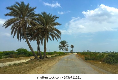 Palm Road Distt. Thatta Pakistan