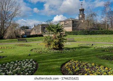 Palm In The  Roundhay Park, Leeds