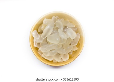 Palm Seed On White Background