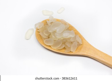 Palm Seed On White Background