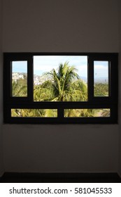 A palm seen through a window.