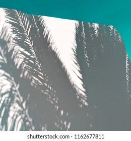 Palm Shadow Minimal Tropical Fashion Vibes