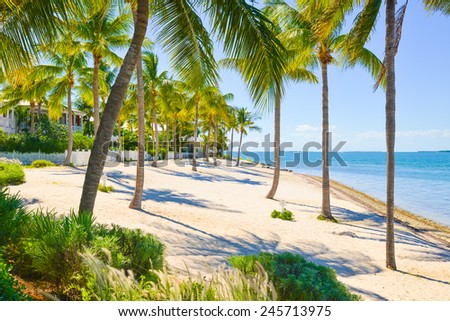 Palm shrouded beach on Sunset Key