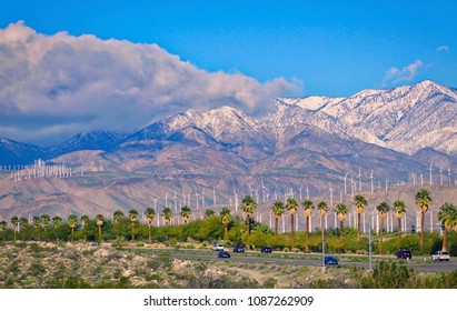 Palm Springs Area With Palm Trees, Wind Turbines And Snow Capped Mountains