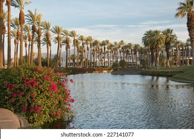 Palm Springs, CA 