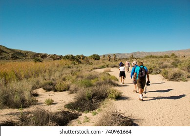 Palm Springs, California - February 2017: Hikers Walking On A Trail At The Coachella Valley Preserve