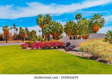 The Palm Springs entrance is landscaped with Bougainvillea and Palm trees in the Southern Californian desert resort.
