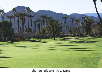 Palm Springs Golf Course Oasis